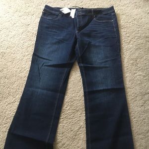 WHBM Bootcut Jeans